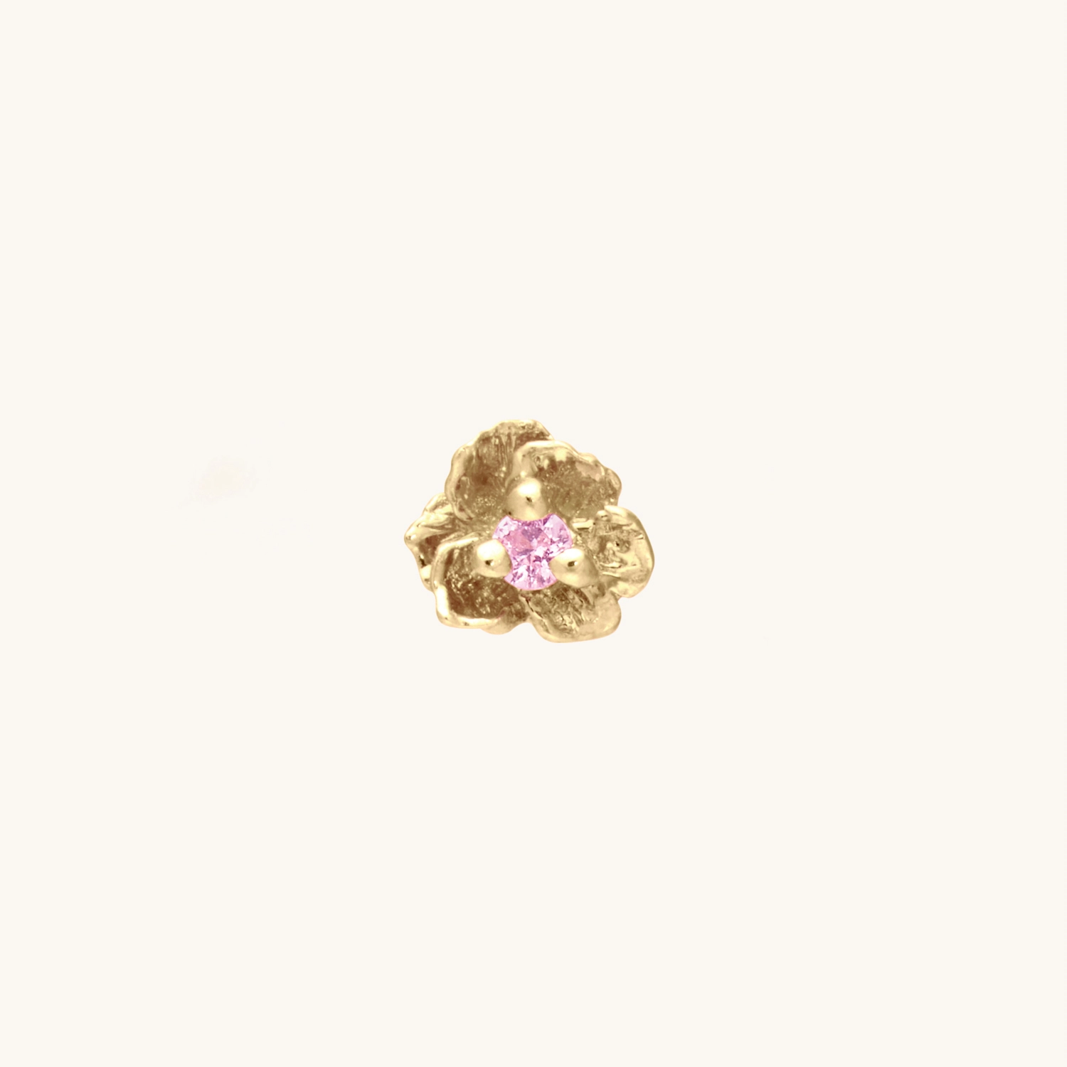 Pansy 