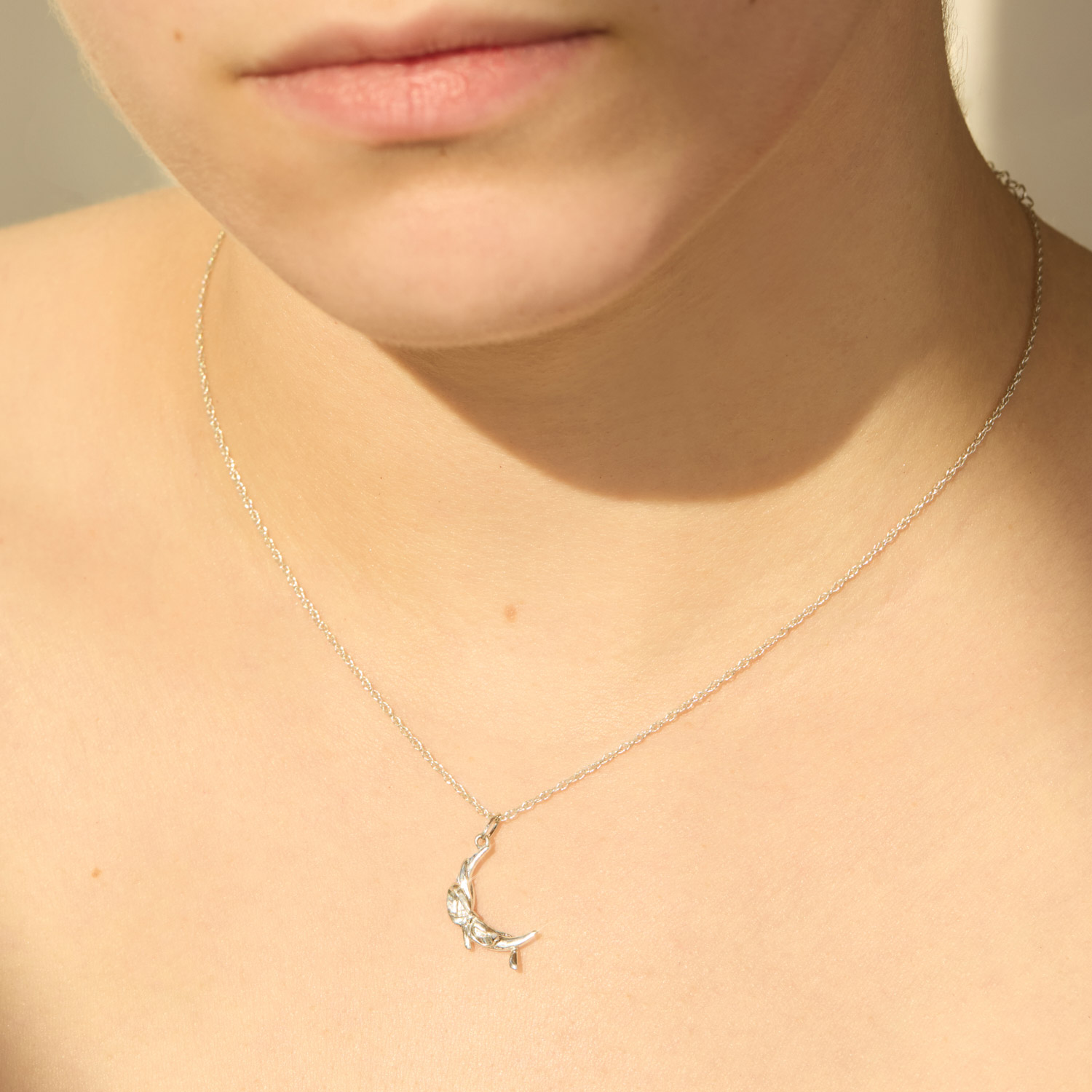Serendipity Moon Charm, Silver 