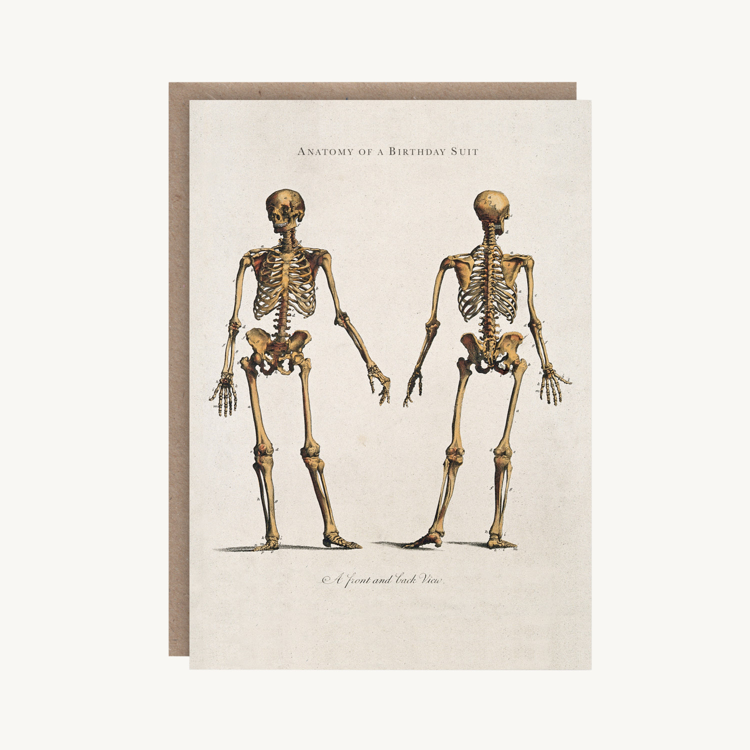 Anatomy Of A Birthday Suit Birthday Card